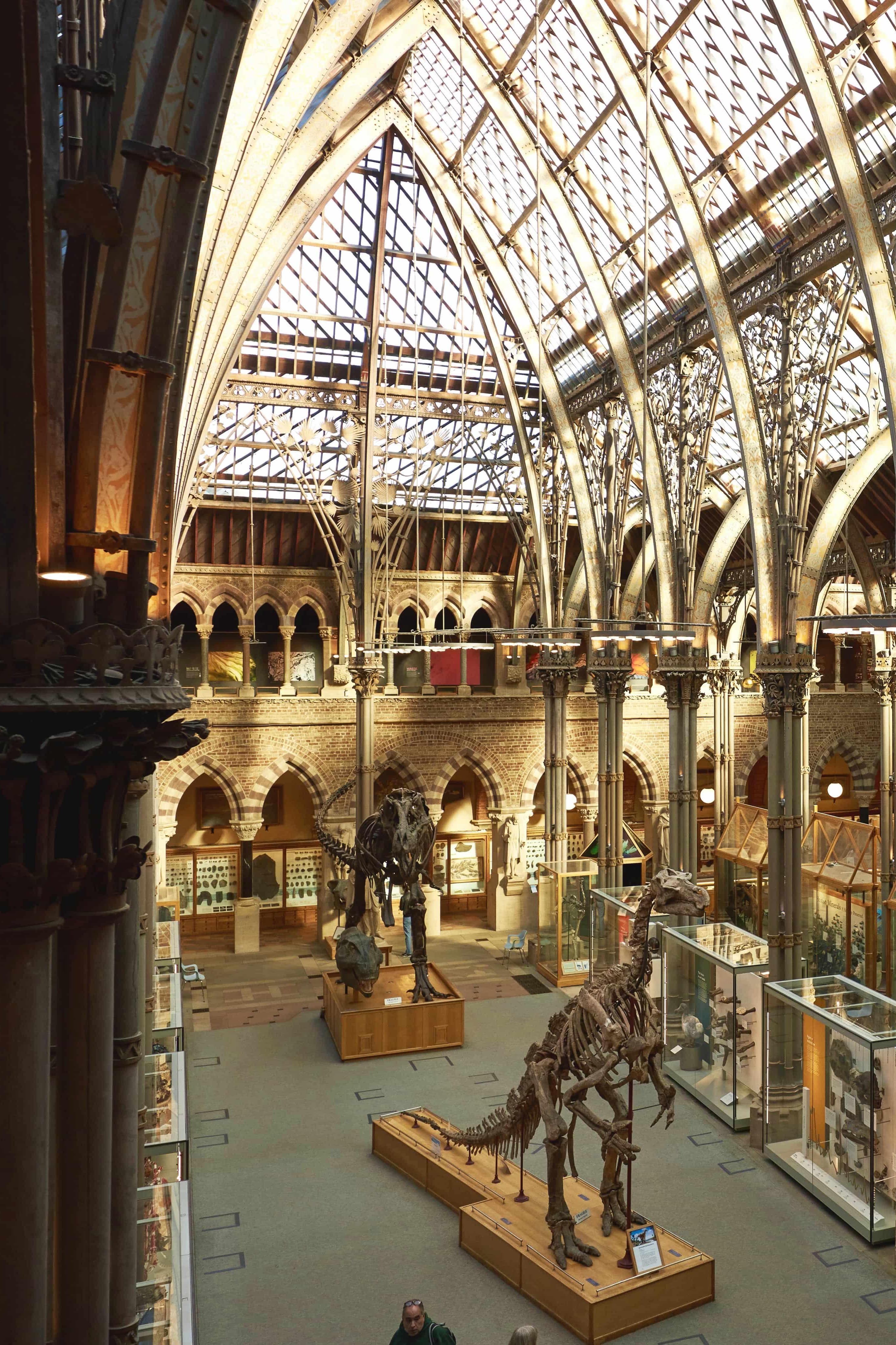 Oxford University Museum of Natural History